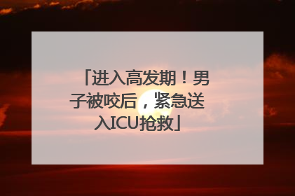 进入高发期！男子被咬后，紧急送入ICU抢救