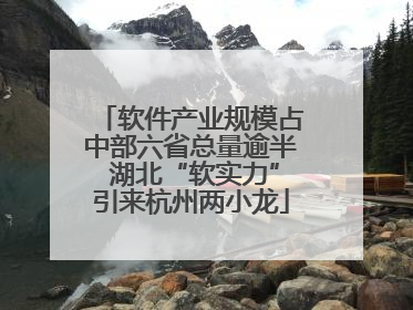 软件产业规模占中部六省总量逾半 湖北“软实力”引来杭州两小龙