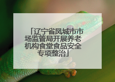 辽宁省凤城市市场监管局开展养老机构食堂食品安全专项整治