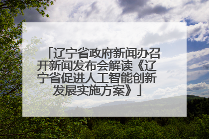 辽宁省政府新闻办召开新闻发布会解读《辽宁省促进人工智能创新发展实施方案》