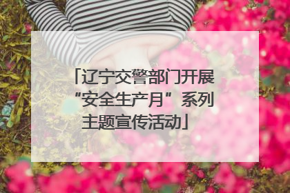 辽宁交警部门开展“安全生产月”系列主题宣传活动