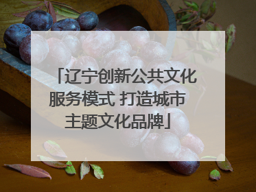辽宁创新公共文化服务模式 打造城市主题文化品牌