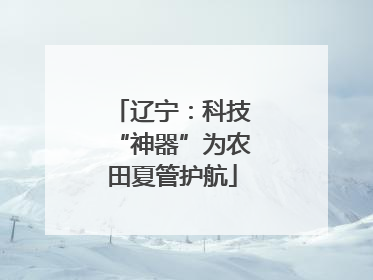 辽宁：科技“神器”为农田夏管护航