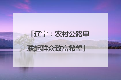 辽宁：农村公路串联起群众致富希望