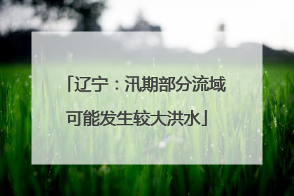 辽宁：汛期部分流域可能发生较大洪水