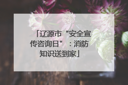 辽源市“安全宣传咨询日”：消防知识送到家