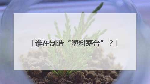 谁在制造“塑料茅台”？