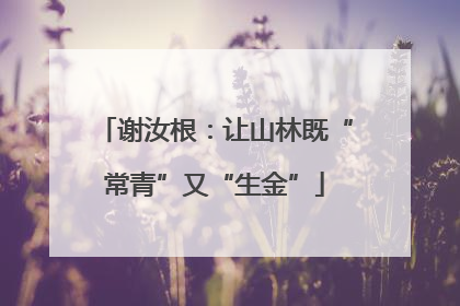 谢汝根：让山林既“常青”又“生金”