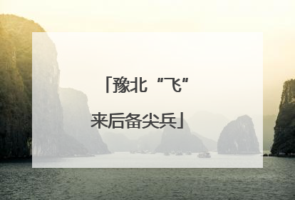 豫北“飞”来后备尖兵