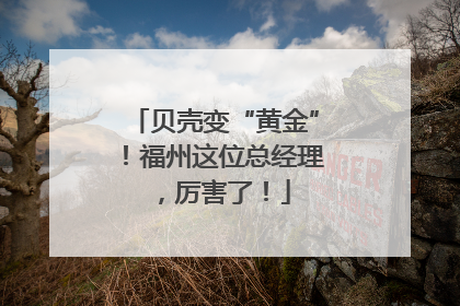 贝壳变“黄金”！福州这位总经理，厉害了！