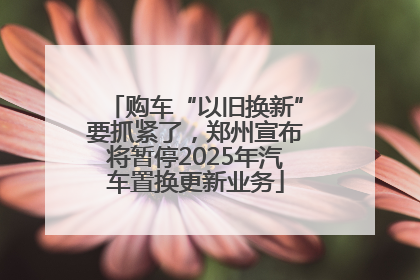 购车“以旧换新”要抓紧了，郑州宣布将暂停2025年汽车置换更新业务