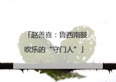 赵善喜：鲁西南鼓吹乐的“守门人”