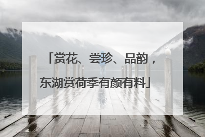 赏花、尝珍、品韵，东湖赏荷季有颜有料