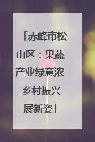 赤峰市松山区：果蔬产业绿意浓 乡村振兴展新姿