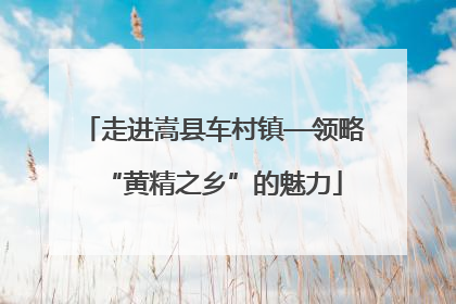 走进嵩县车村镇—领略“黄精之乡”的魅力