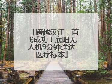 跨越汉江，首飞成功！襄阳无人机9分钟送达医疗标本