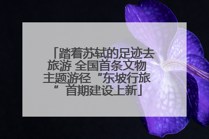 踏着苏轼的足迹去旅游 全国首条文物主题游径“东坡行旅”首期建设上新