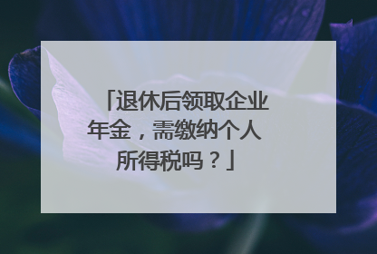 退休后领取企业年金，需缴纳个人所得税吗？