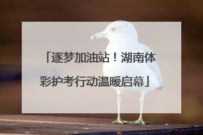 逐梦加油站！湖南体彩护考行动温暖启幕