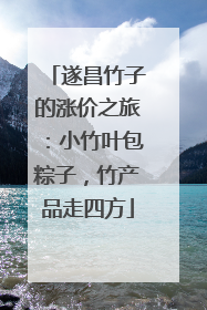 遂昌竹子的涨价之旅：小竹叶包粽子，竹产品走四方