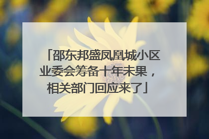 邵东邦盛凤凰城小区业委会筹备十年未果，相关部门回应来了