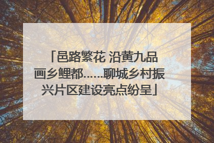 邑路繁花 沿黄九品 画乡鲤都……聊城乡村振兴片区建设亮点纷呈