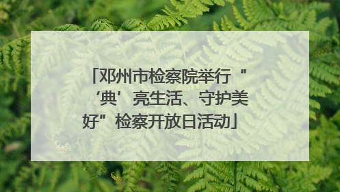 邓州市检察院举行“‘典’亮生活、守护美好”检察开放日活动