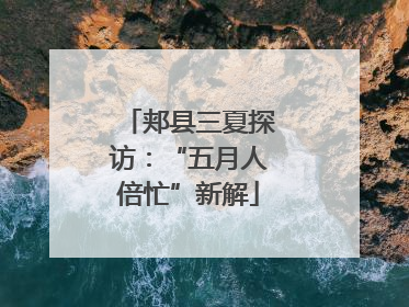 郏县三夏探访：“五月人倍忙”新解