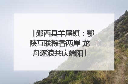 郧西县羊尾镇：鄂陕互联粽香两岸 龙舟逐浪共庆端阳