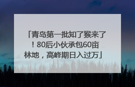 青岛第一批知了猴来了！80后小伙承包60亩林地，高峰期日入过万