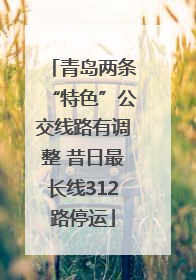 青岛两条“特色”公交线路有调整 昔日最长线312路停运