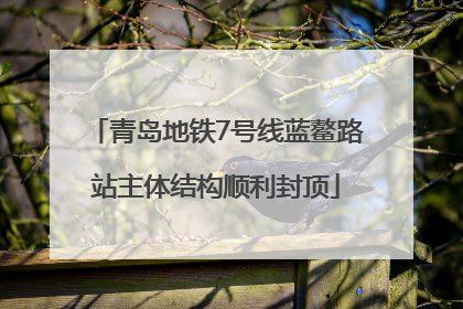 青岛地铁7号线蓝鳌路站主体结构顺利封顶