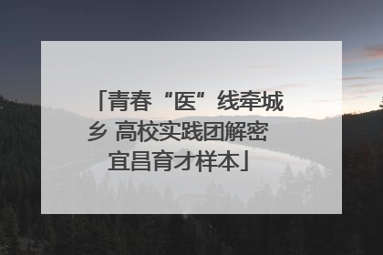 青春“医”线牵城乡 高校实践团解密宜昌育才样本
