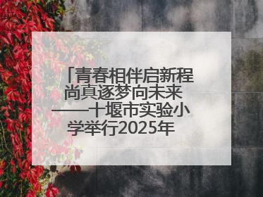 青春相伴启新程 尚真逐梦向未来——十堰市实验小学举行2025年六年级毕业典礼