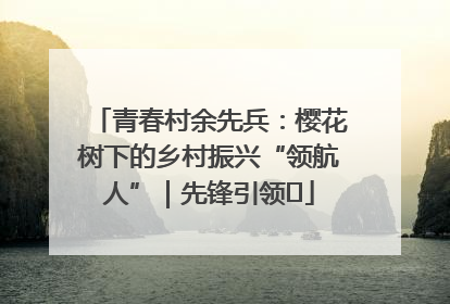 青春村余先兵：樱花树下的乡村振兴“领航人”｜先锋引领⑪