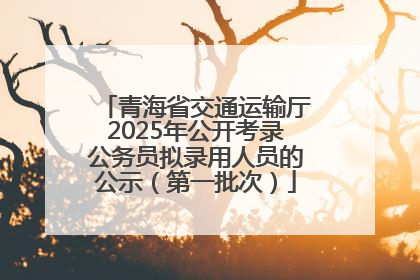 青海省交通运输厅2025年公开考录公务员拟录用人员的公示（第一批次）