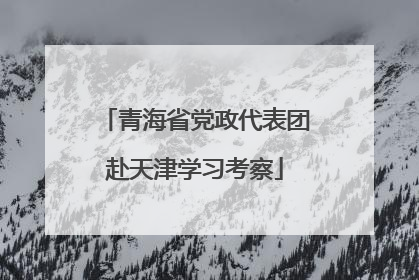 青海省党政代表团赴天津学习考察