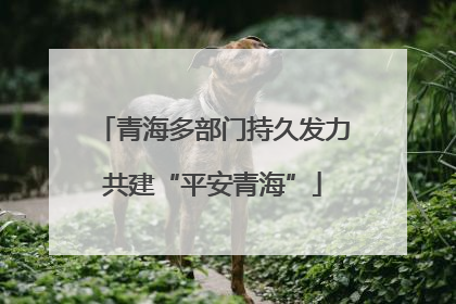 青海多部门持久发力共建“平安青海”