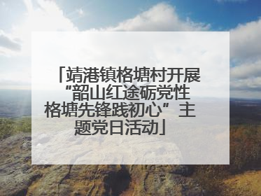 靖港镇格塘村开展“韶山红途砺党性 格塘先锋践初心”主题党日活动