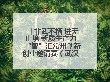非武不栖 进无止境 新质生产力“智”汇常州创新创业邀请赛（武汉站）圆满举办