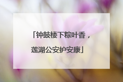 钟鼓楼下粽叶香，莲湖公安护安康
