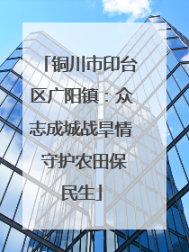 铜川市印台区广阳镇：众志成城战旱情 守护农田保民生