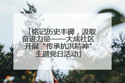铭记历史丰碑，汲取奋进力量——大成社区开展“传承抗洪精神”主题党日活动