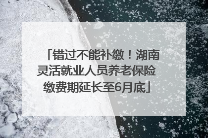 错过不能补缴！湖南灵活就业人员养老保险缴费期延长至6月底