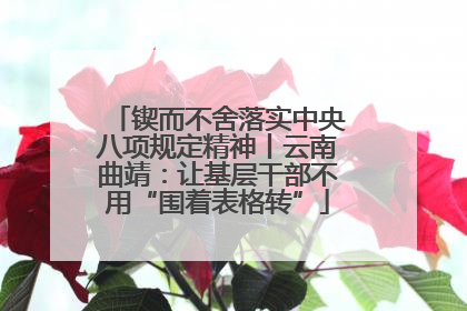 锲而不舍落实中央八项规定精神丨云南曲靖：让基层干部不用“围着表格转”