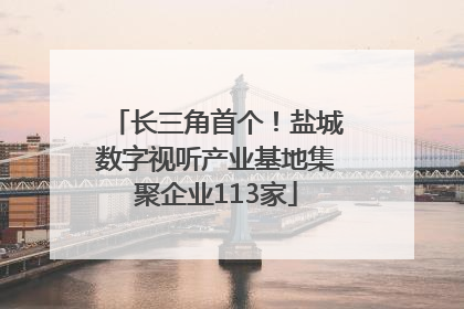 长三角首个！盐城数字视听产业基地集聚企业113家