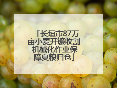 长垣市87万亩小麦开镰收割 机械化作业保障夏粮归仓