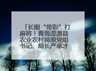 长期“带彩”打麻将！青海湟源县农业农村局原党组书记、局长严卓才被“双开”