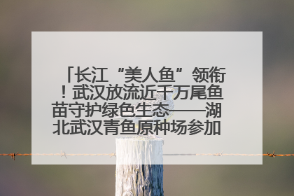 长江“美人鱼”领衔！武汉放流近千万尾鱼苗守护绿色生态——湖北武汉青鱼原种场参加2025年“全国放鱼日”增殖放流活动