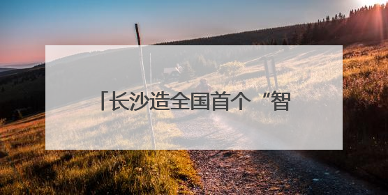 长沙造全国首个“智能押运机器人”亮相